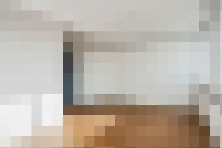 Theresiastraat 299 Den Haag thumbnail 47