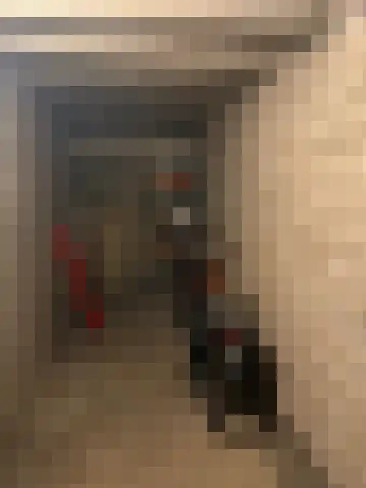 Theresiastraat 299 Den Haag thumbnail 53