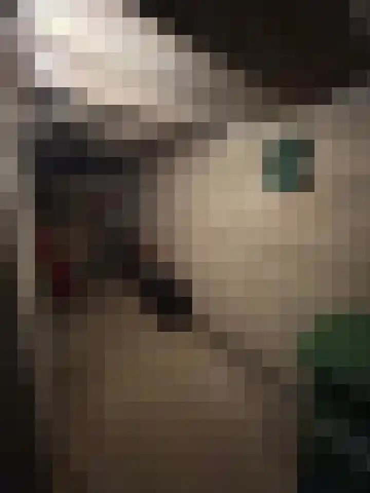 Theresiastraat 299 Den Haag thumbnail 54