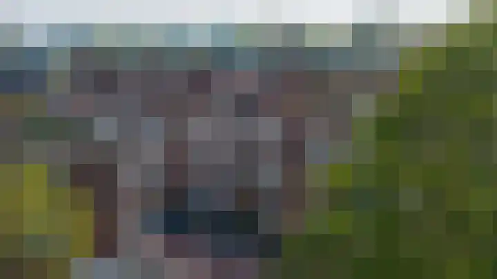 Theresiastraat 299 Den Haag thumbnail 63