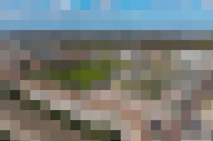 Theresiastraat 299 Den Haag thumbnail 65