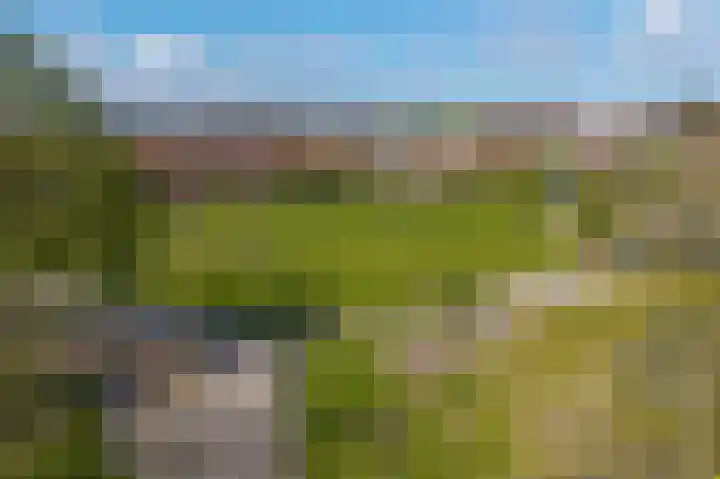 Theresiastraat 299 Den Haag thumbnail 66