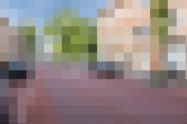 Theresiastraat 311 Den Haag thumbnail 32