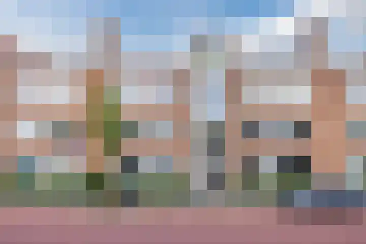 Theresiastraat 311 Den Haag thumbnail 5