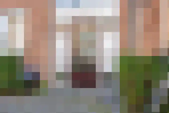 Theresiastraat 311 Den Haag thumbnail 6