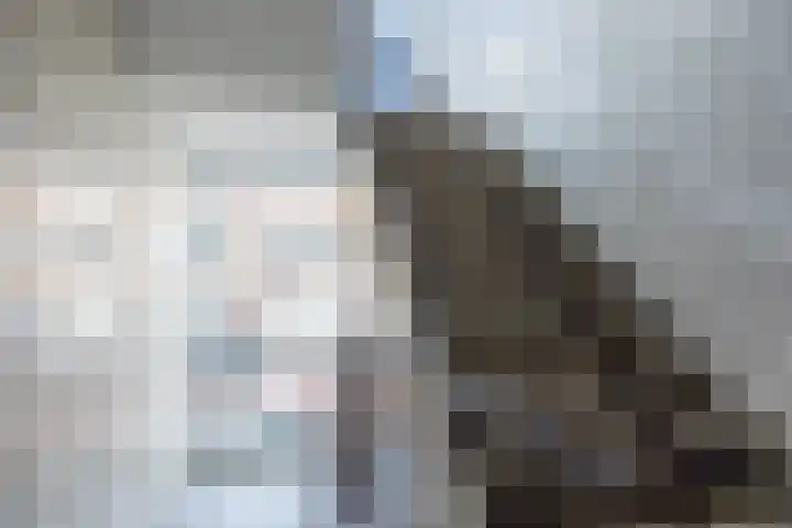 Theresiastraat 311 Den Haag thumbnail 7