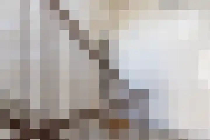 Theresiastraat 311 Den Haag thumbnail 8