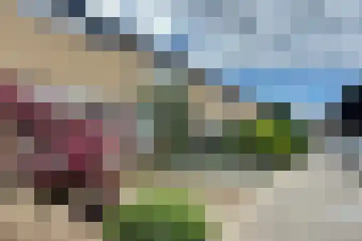 Theresiastraat 36 Echt thumbnail 13