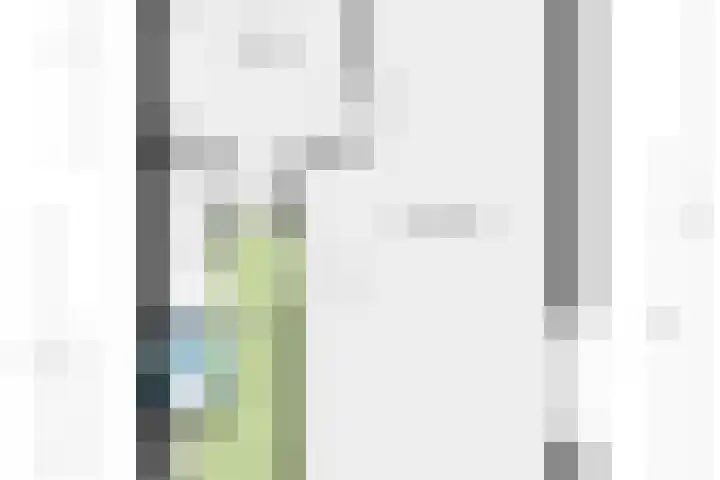 Theresiastraat 36 Echt thumbnail 16