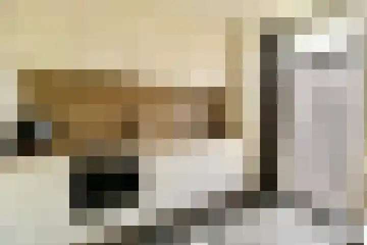 Theresiastraat 36 Echt thumbnail 5
