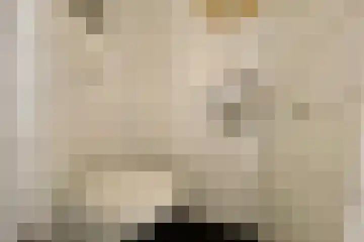Theresiastraat 36 Echt thumbnail 6