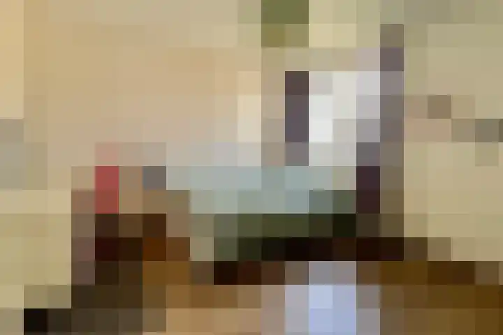 Theresiastraat 36 Echt thumbnail 9