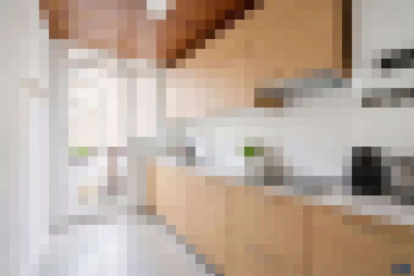 Theresiastraat 362 Den Haag thumbnail 10
