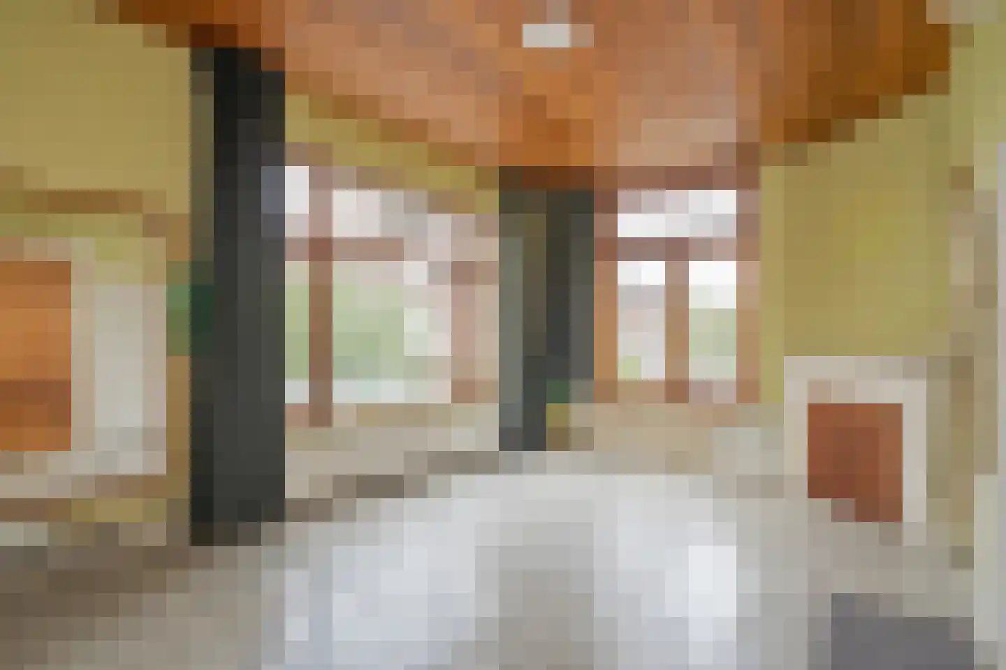 Theresiastraat 362 Den Haag thumbnail 13
