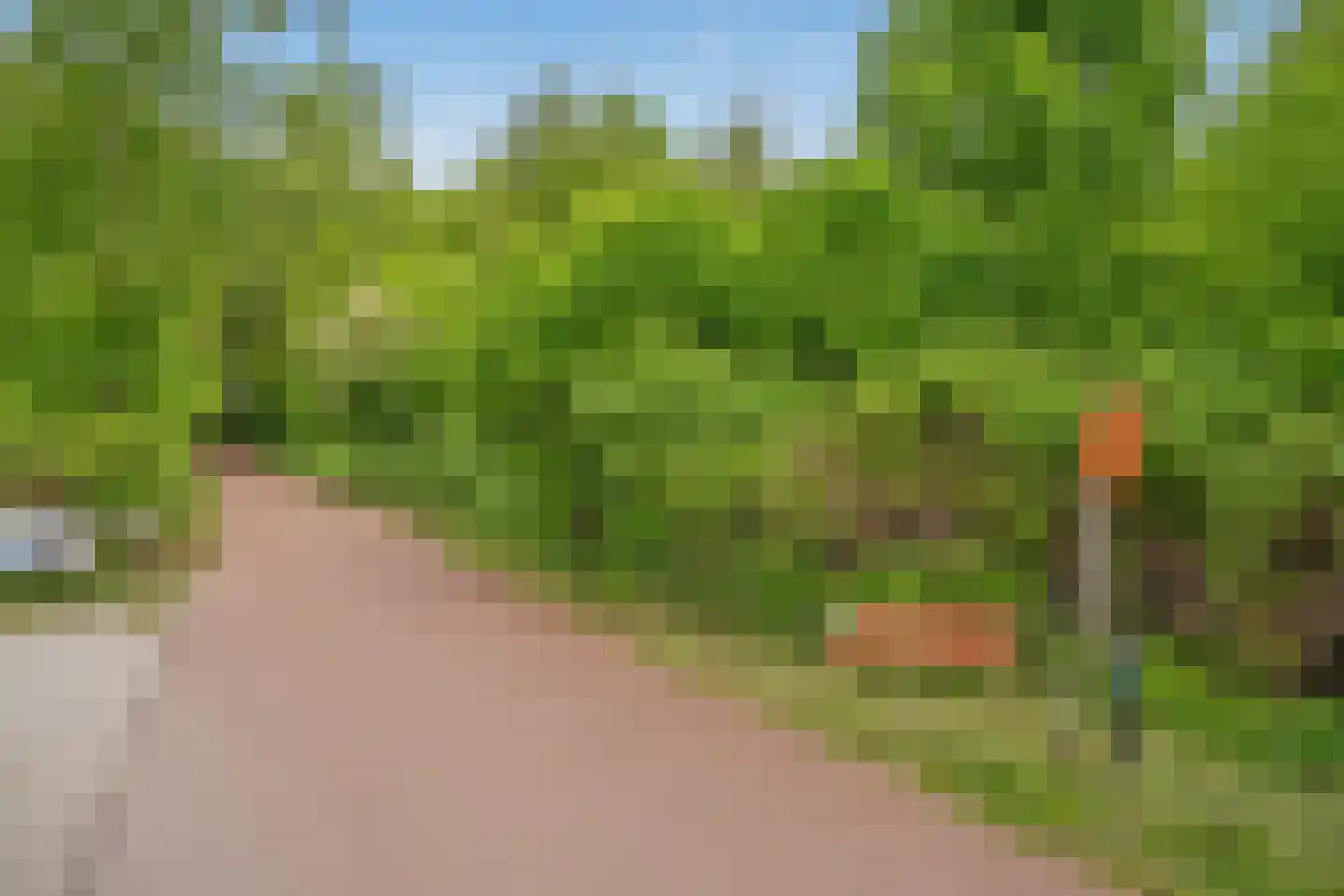 Theresiastraat 362 Den Haag thumbnail 22