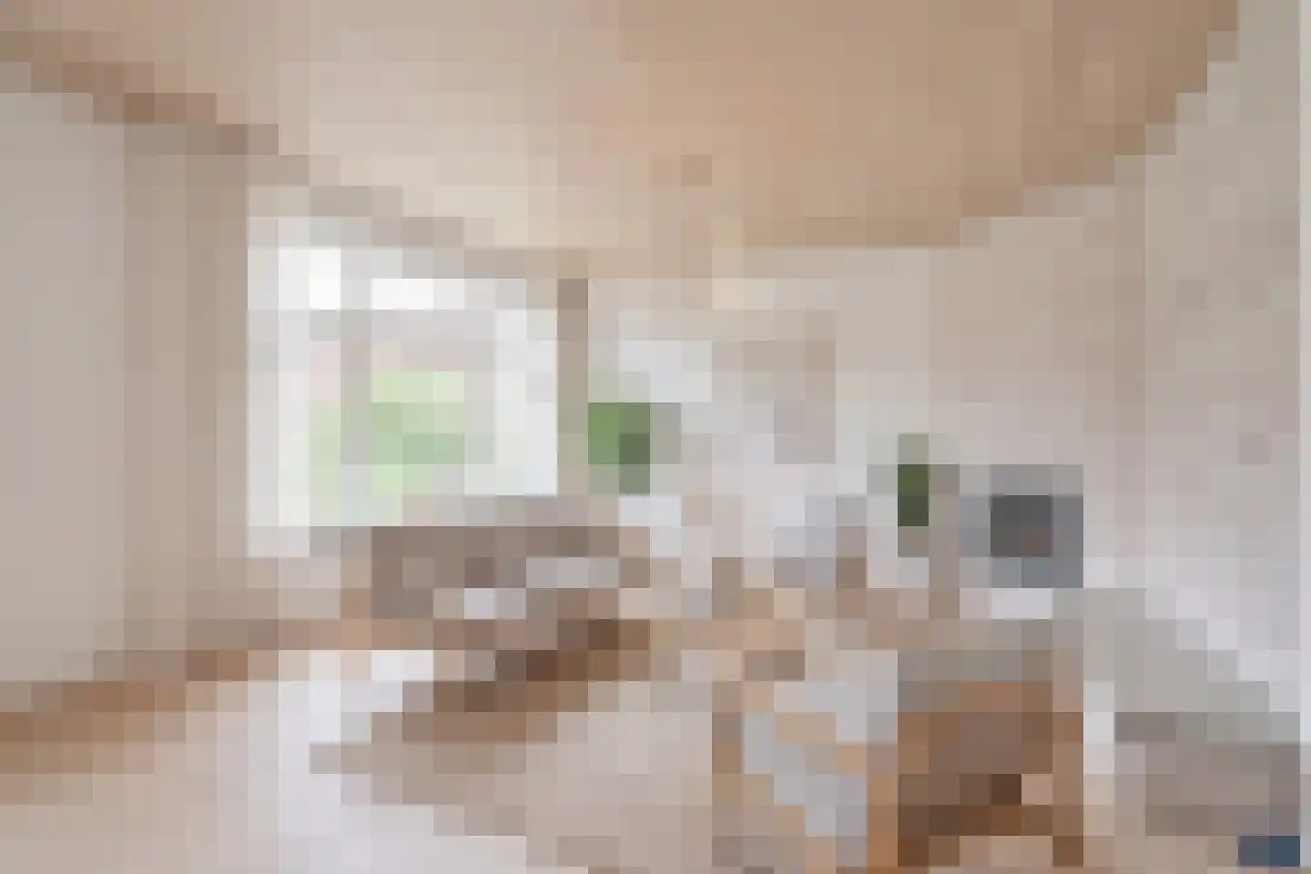 Theresiastraat 362 Den Haag thumbnail 5