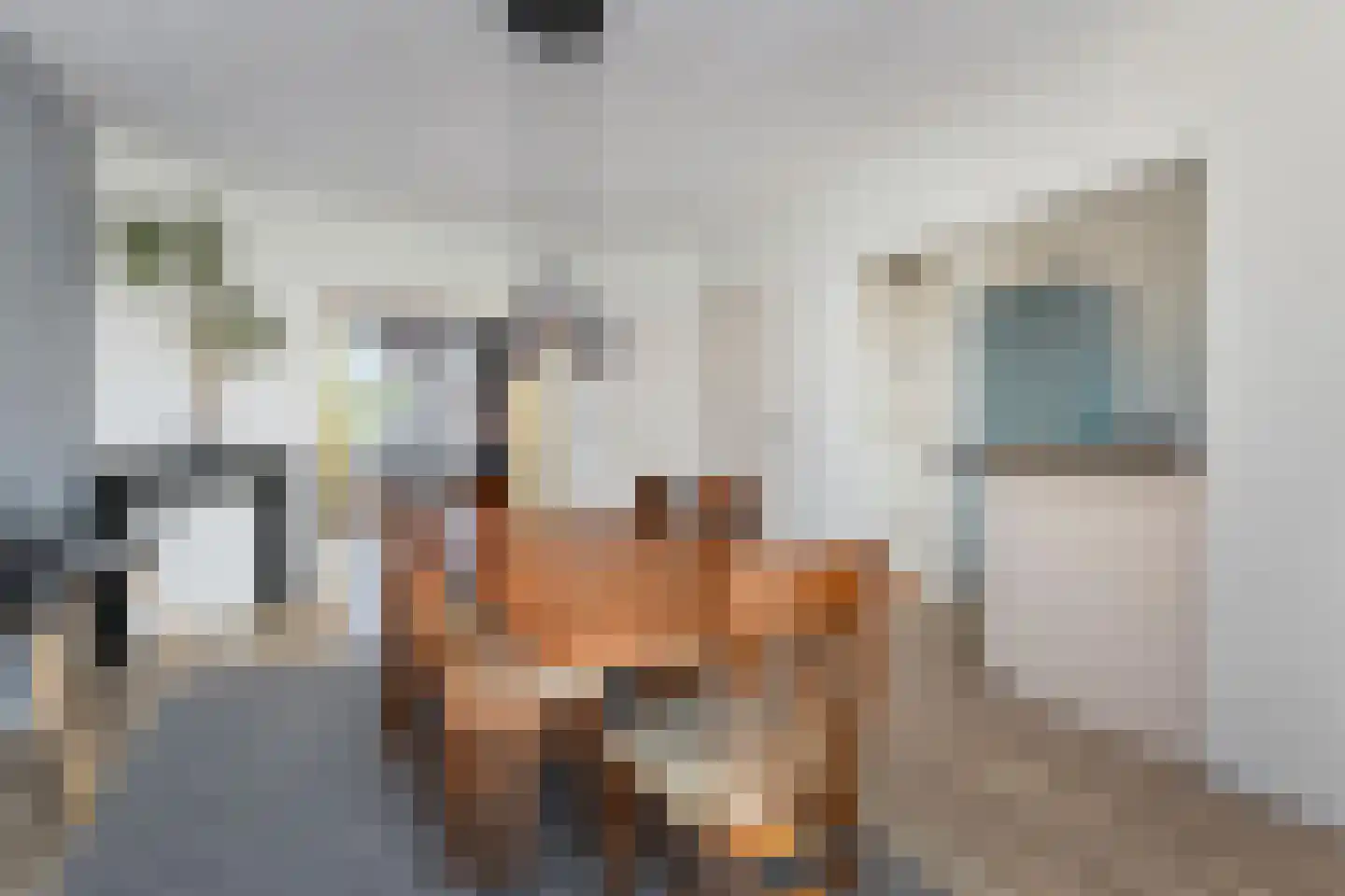 Theresiastraat 373 Den Haag thumbnail 19