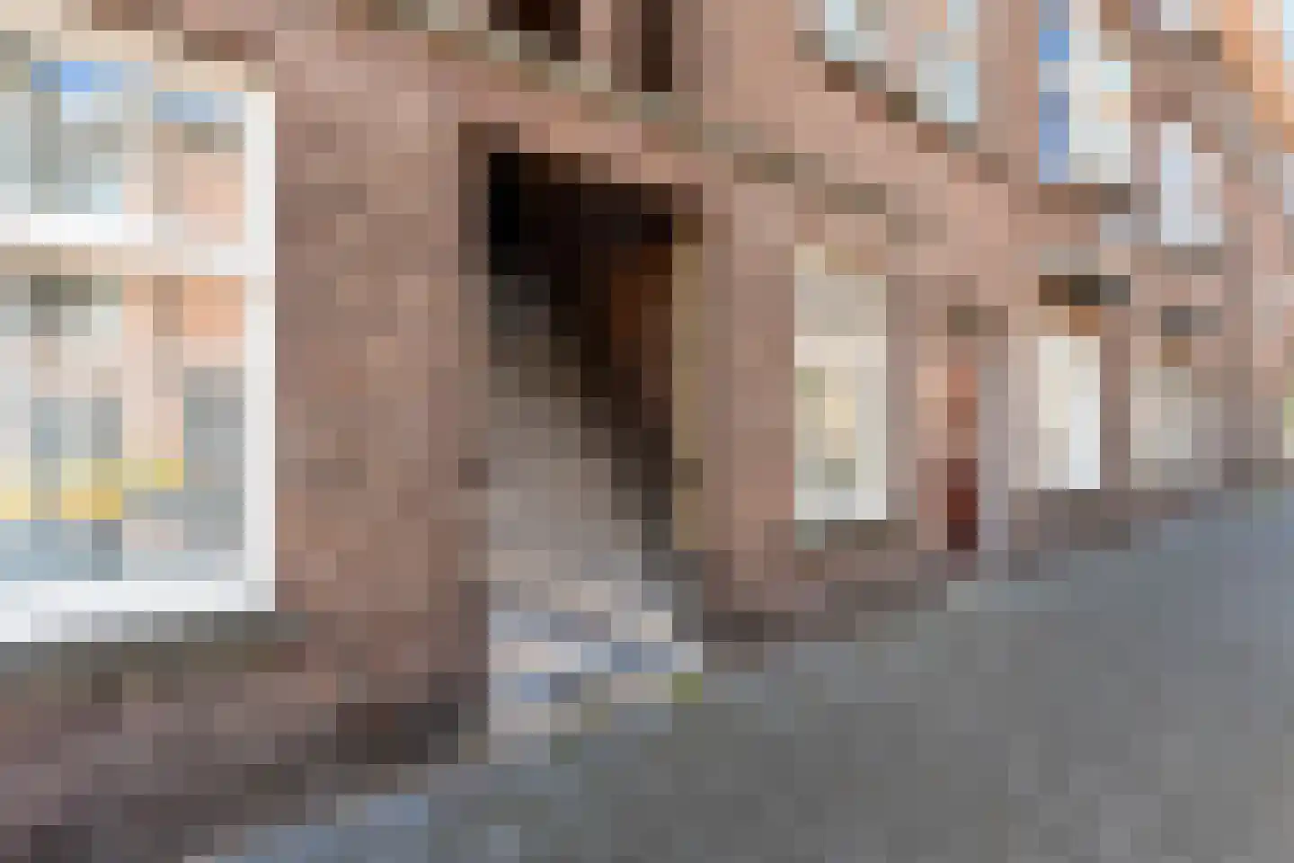 Theresiastraat 373 Den Haag thumbnail 6