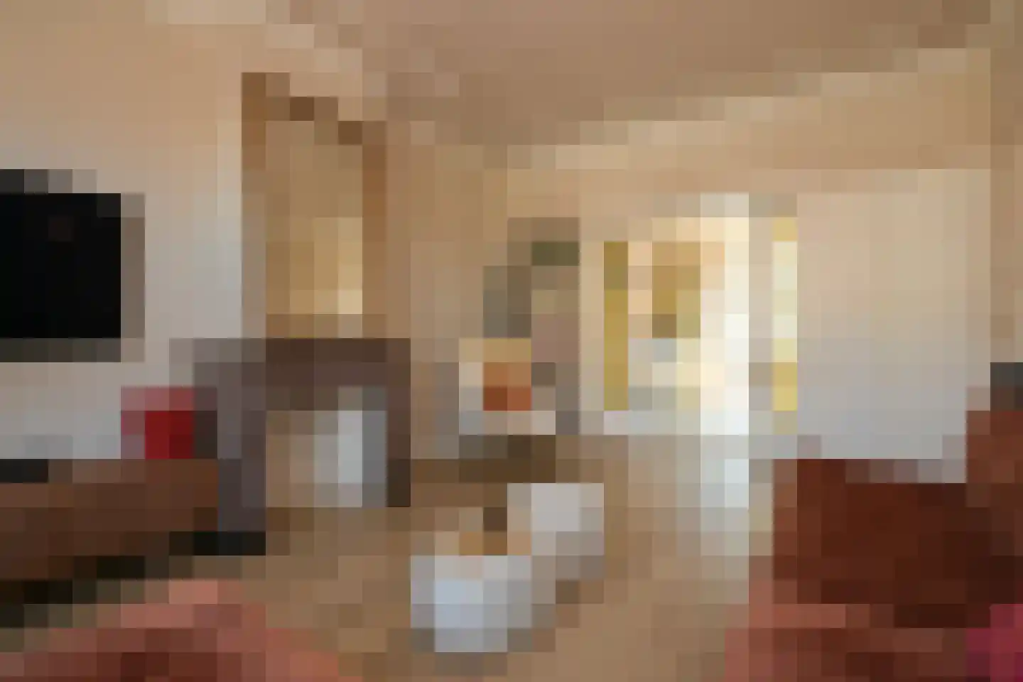 Theresiastraat 377 Den Haag thumbnail 11