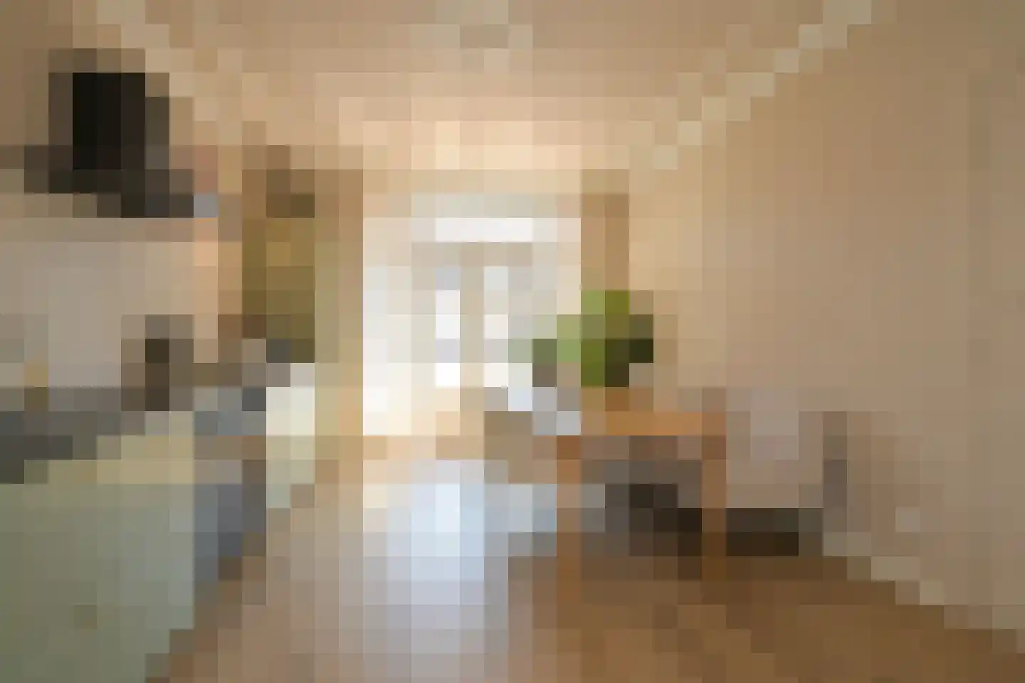Theresiastraat 377 Den Haag thumbnail 15