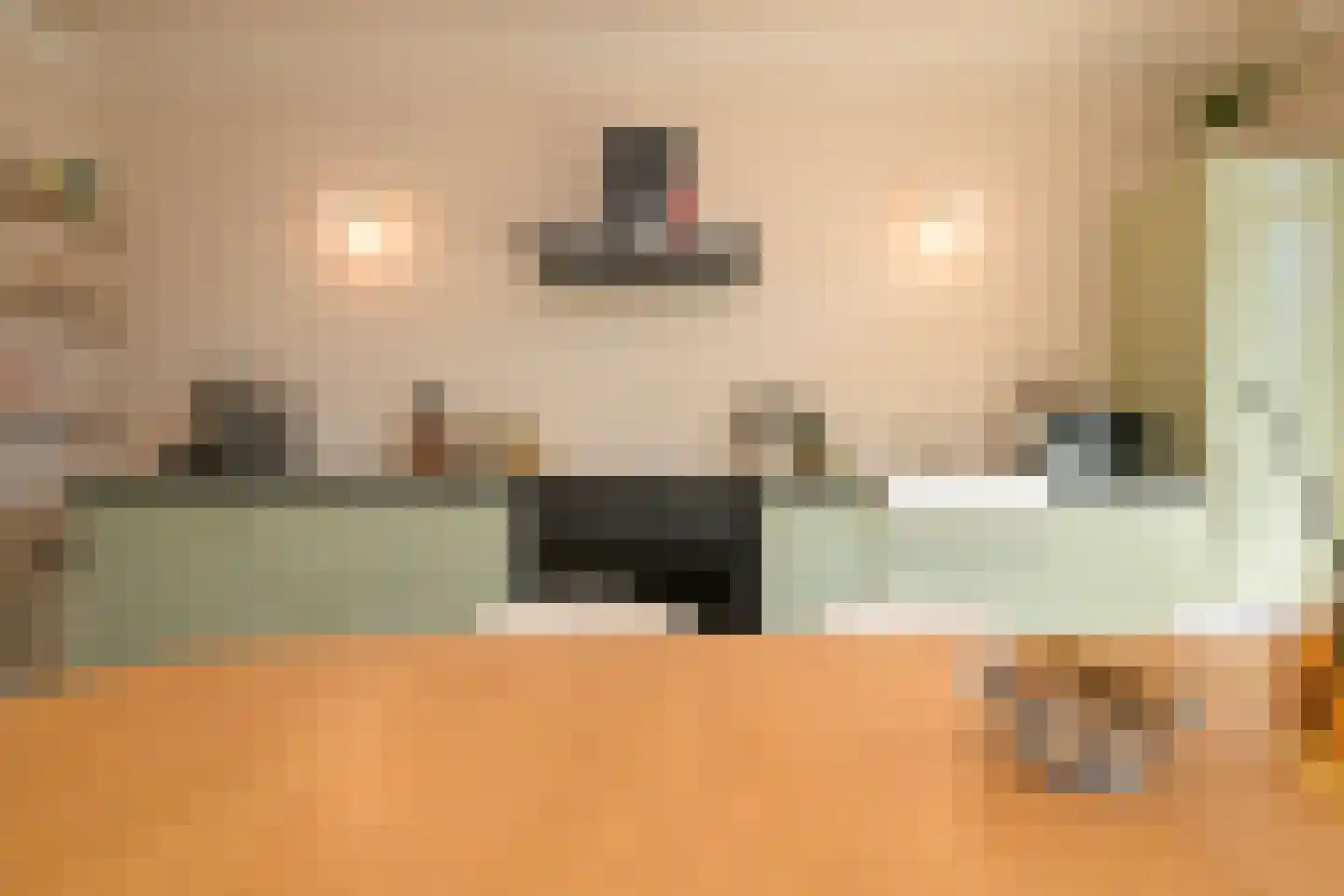 Theresiastraat 377 Den Haag thumbnail 17