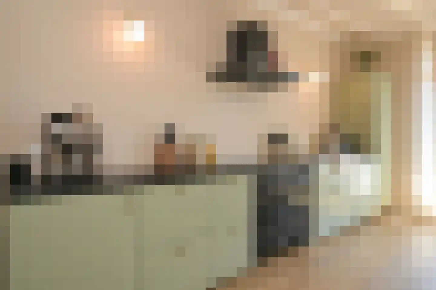 Theresiastraat 377 Den Haag thumbnail 18