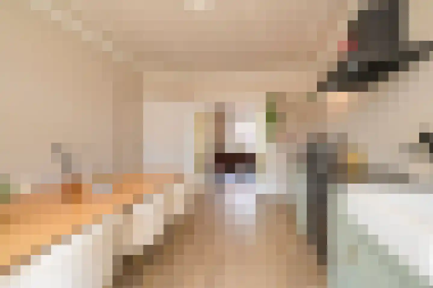 Theresiastraat 377 Den Haag thumbnail 19