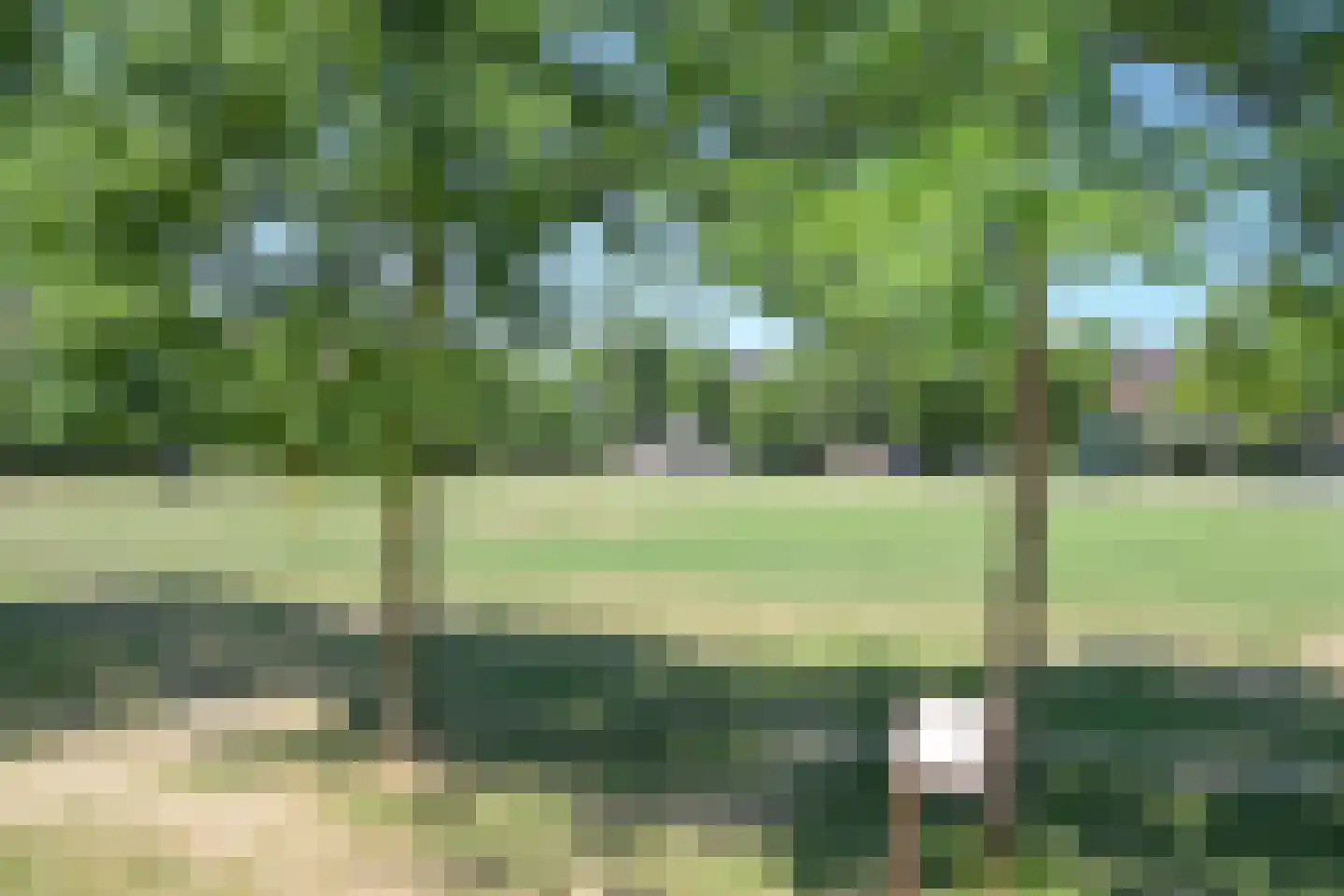 Theresiastraat 377 Den Haag thumbnail 33