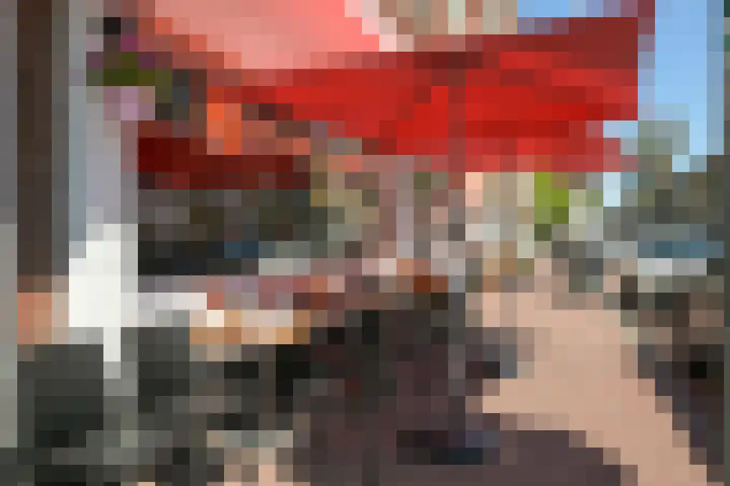 Theresiastraat 377 Den Haag thumbnail 35