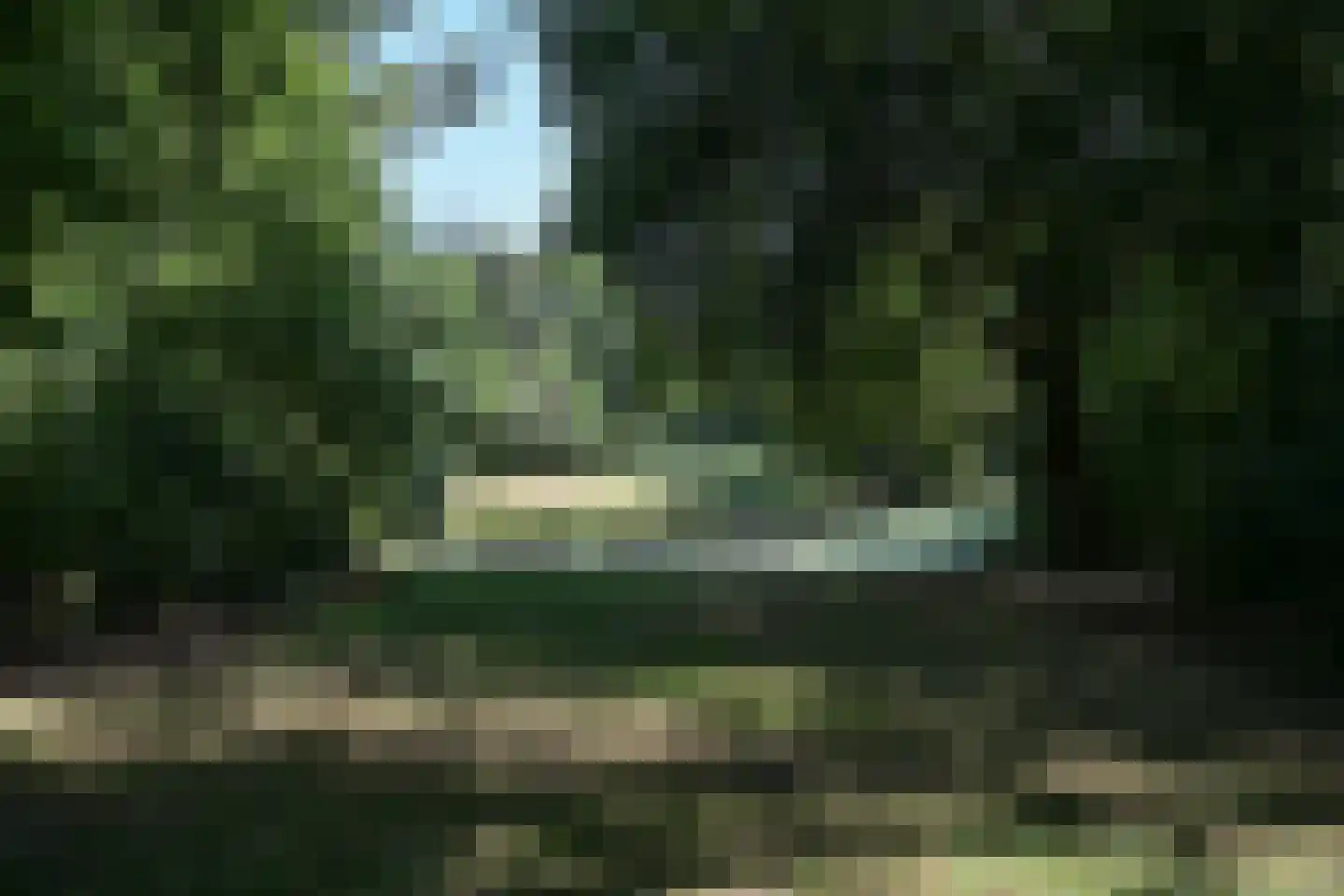 Theresiastraat 377 Den Haag thumbnail 42