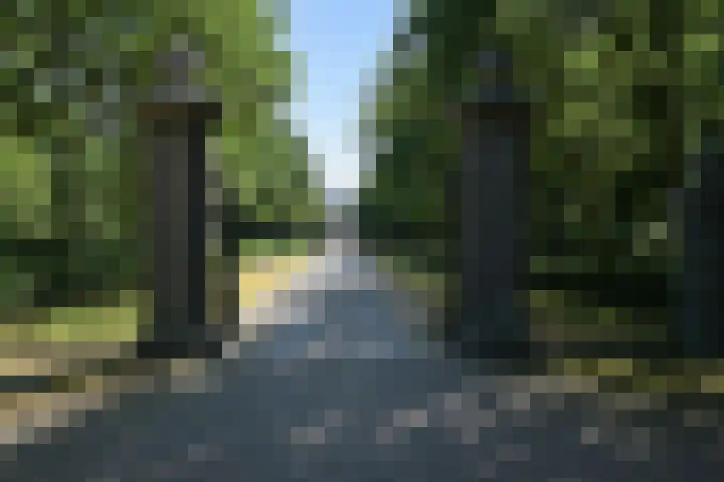 Theresiastraat 377 Den Haag thumbnail 44