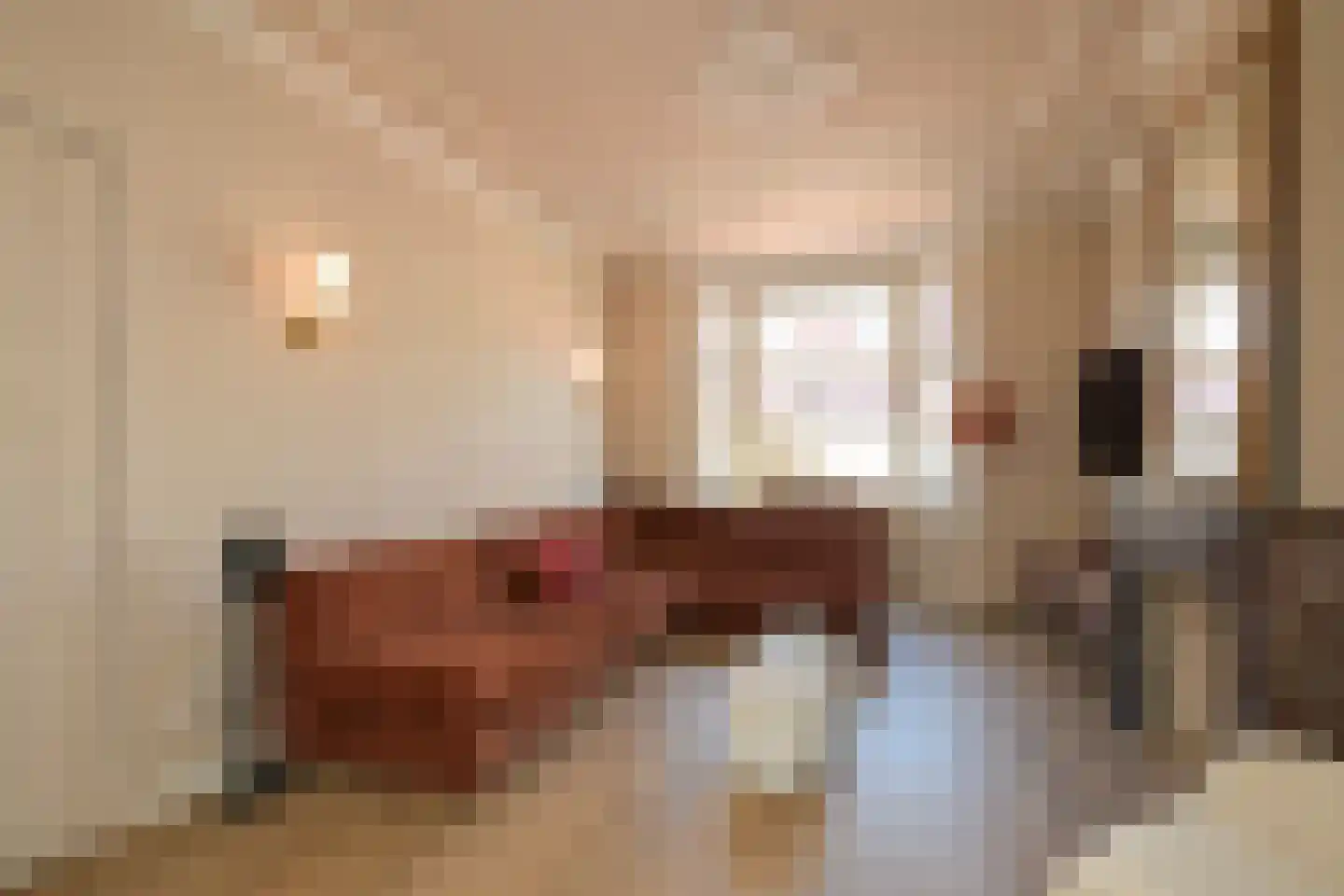 Theresiastraat 377 Den Haag thumbnail 9