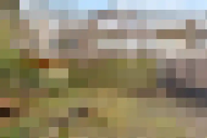 Theresiastraat 381 Den Haag thumbnail 11