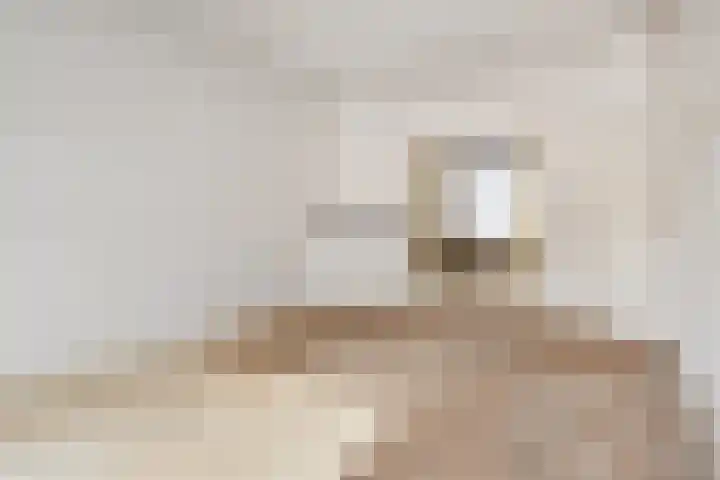 Theresiastraat 381 Den Haag thumbnail 13