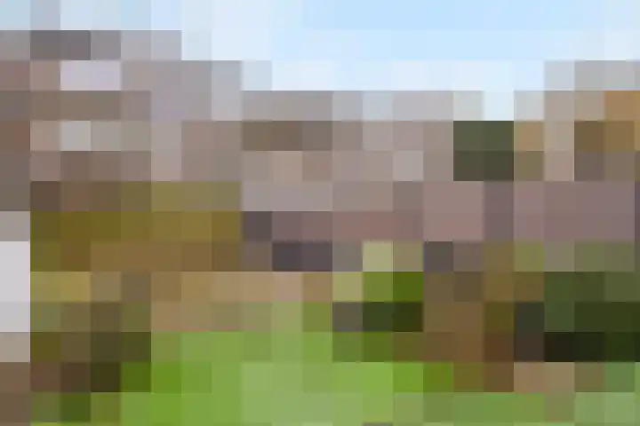 Theresiastraat 381 Den Haag thumbnail 9