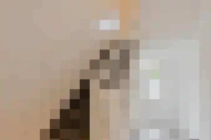 Theresiastraat 39 Kerkrade thumbnail 14