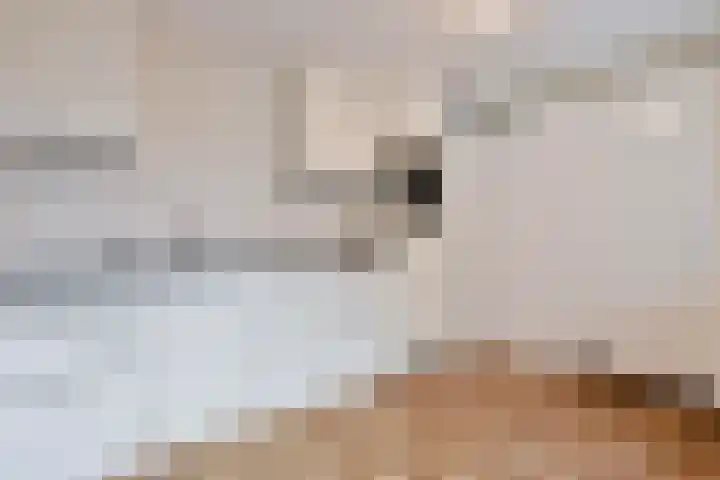 Theresiastraat 39 Kerkrade thumbnail 5