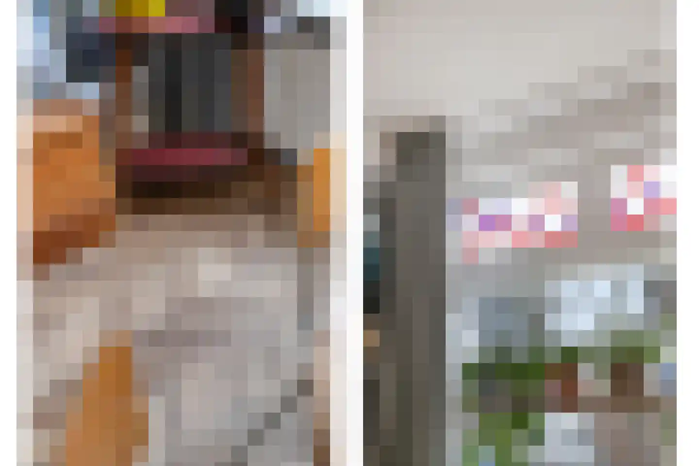 Theresiastraat 40 Tilburg thumbnail 12