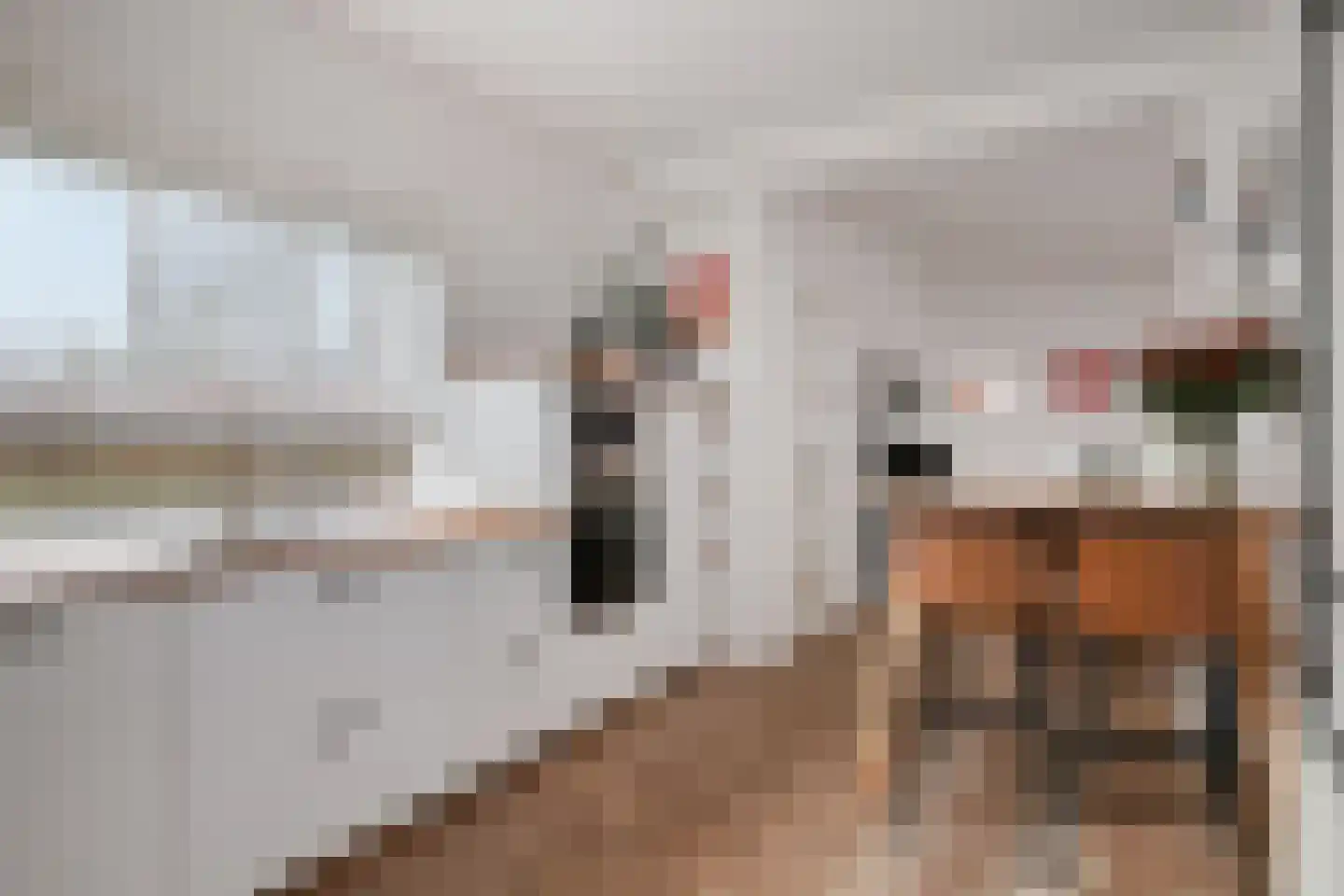 Theresiastraat 40 Tilburg thumbnail 21