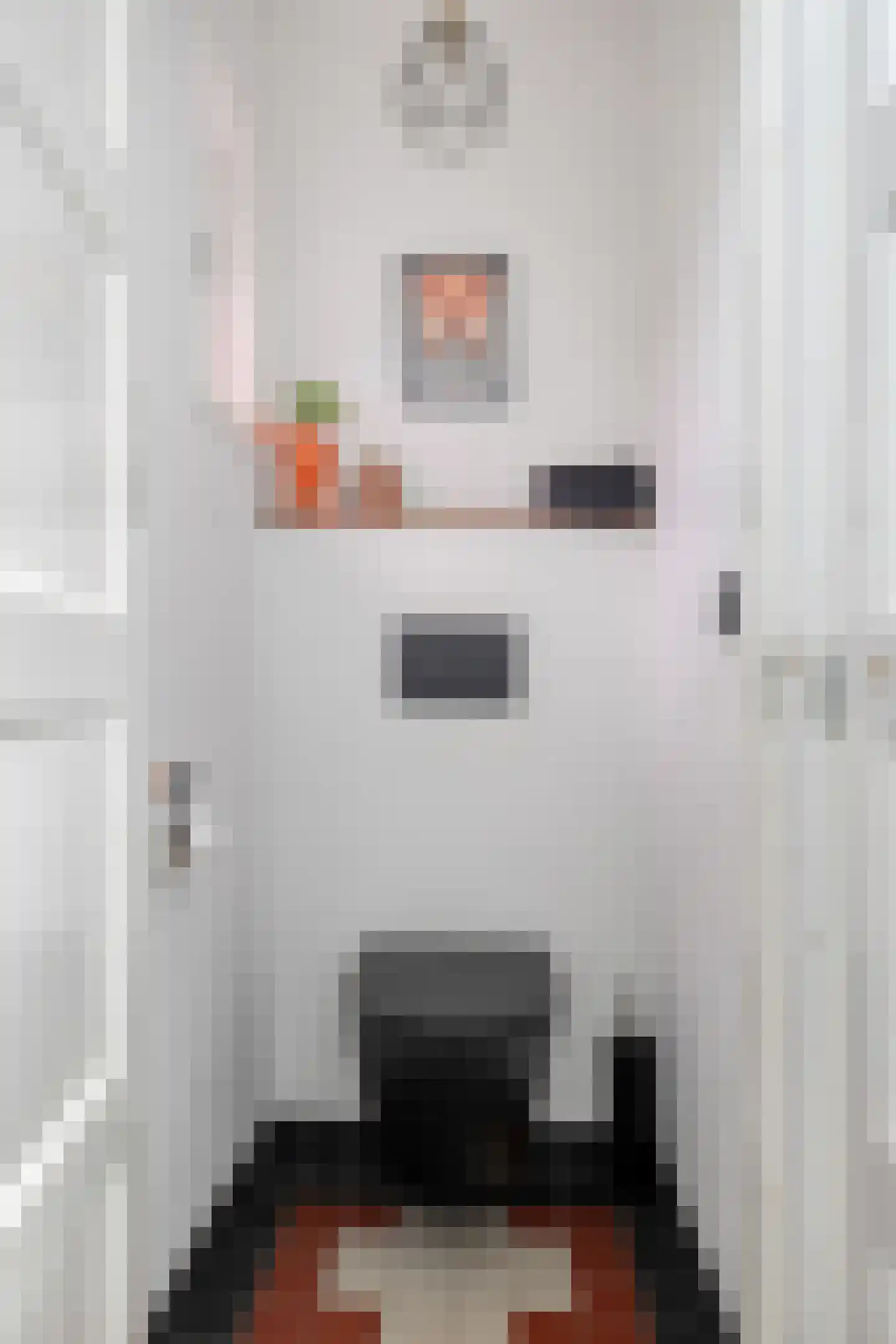 Theresiastraat 40 Tilburg thumbnail 29