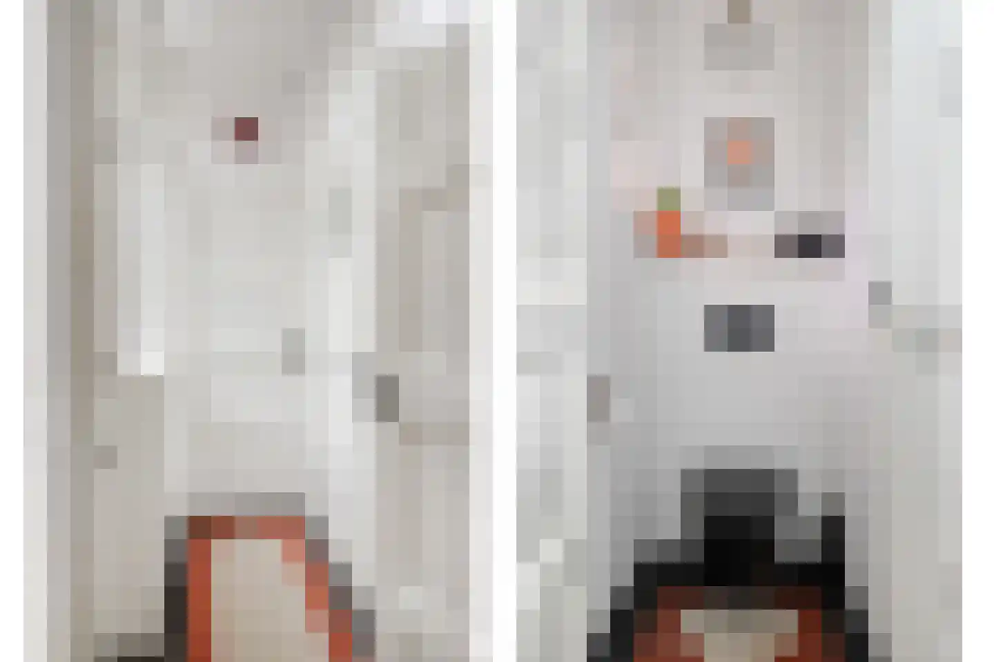 Theresiastraat 40 Tilburg thumbnail 30