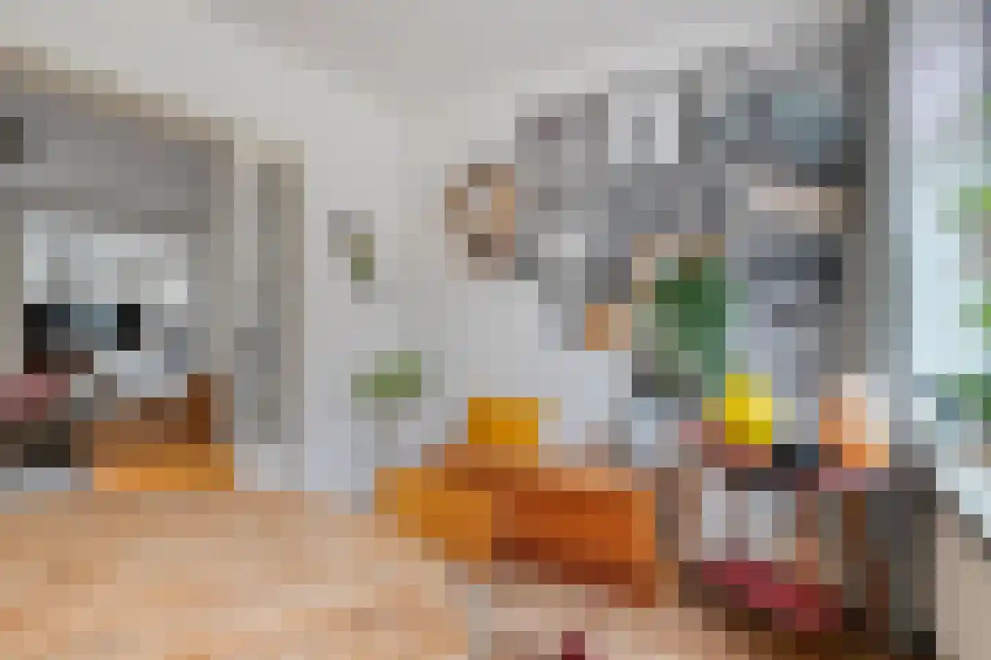 Theresiastraat 40 Tilburg thumbnail 4