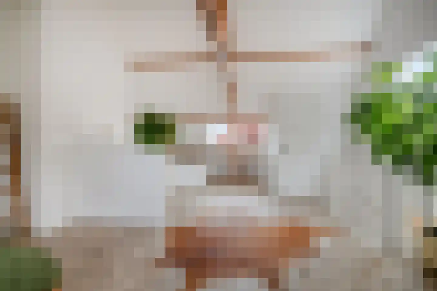 Theresiastraat 40 Tilburg thumbnail 49