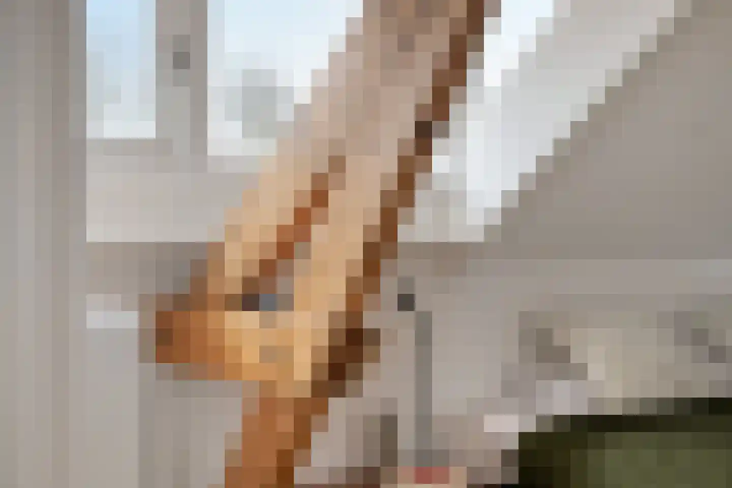 Theresiastraat 40 Tilburg thumbnail 54