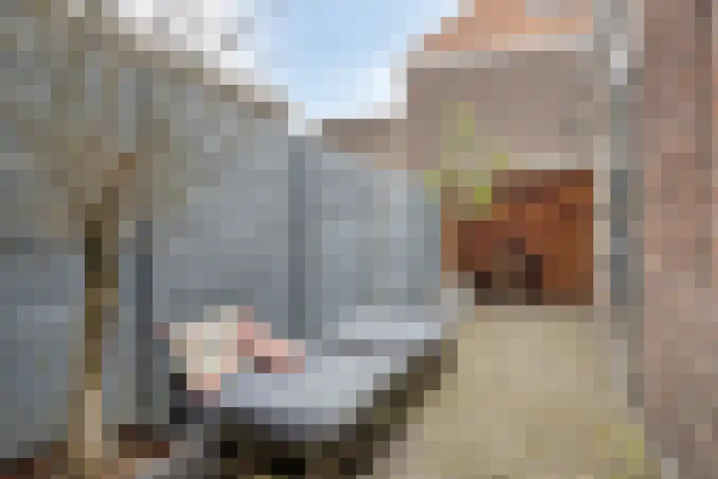 Theresiastraat 40 Tilburg thumbnail 59