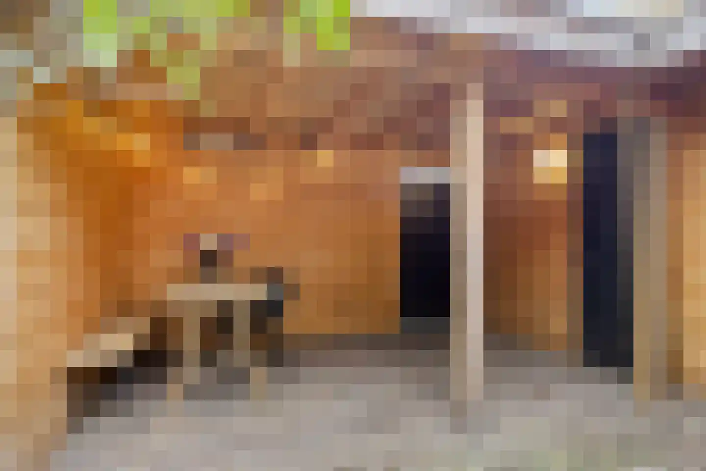 Theresiastraat 40 Tilburg thumbnail 60