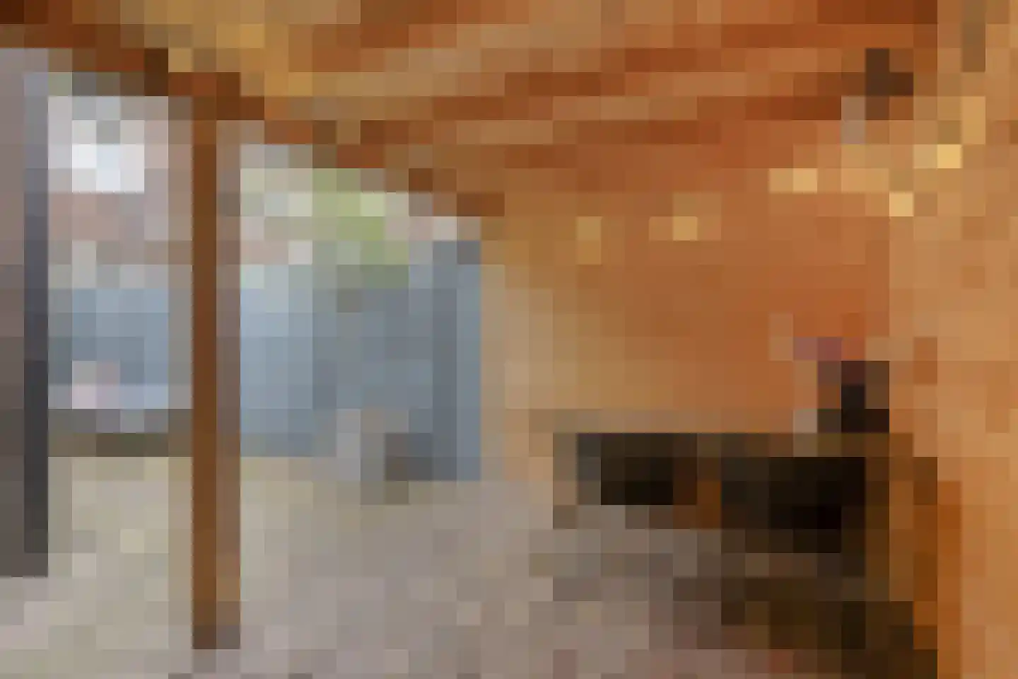 Theresiastraat 40 Tilburg thumbnail 61