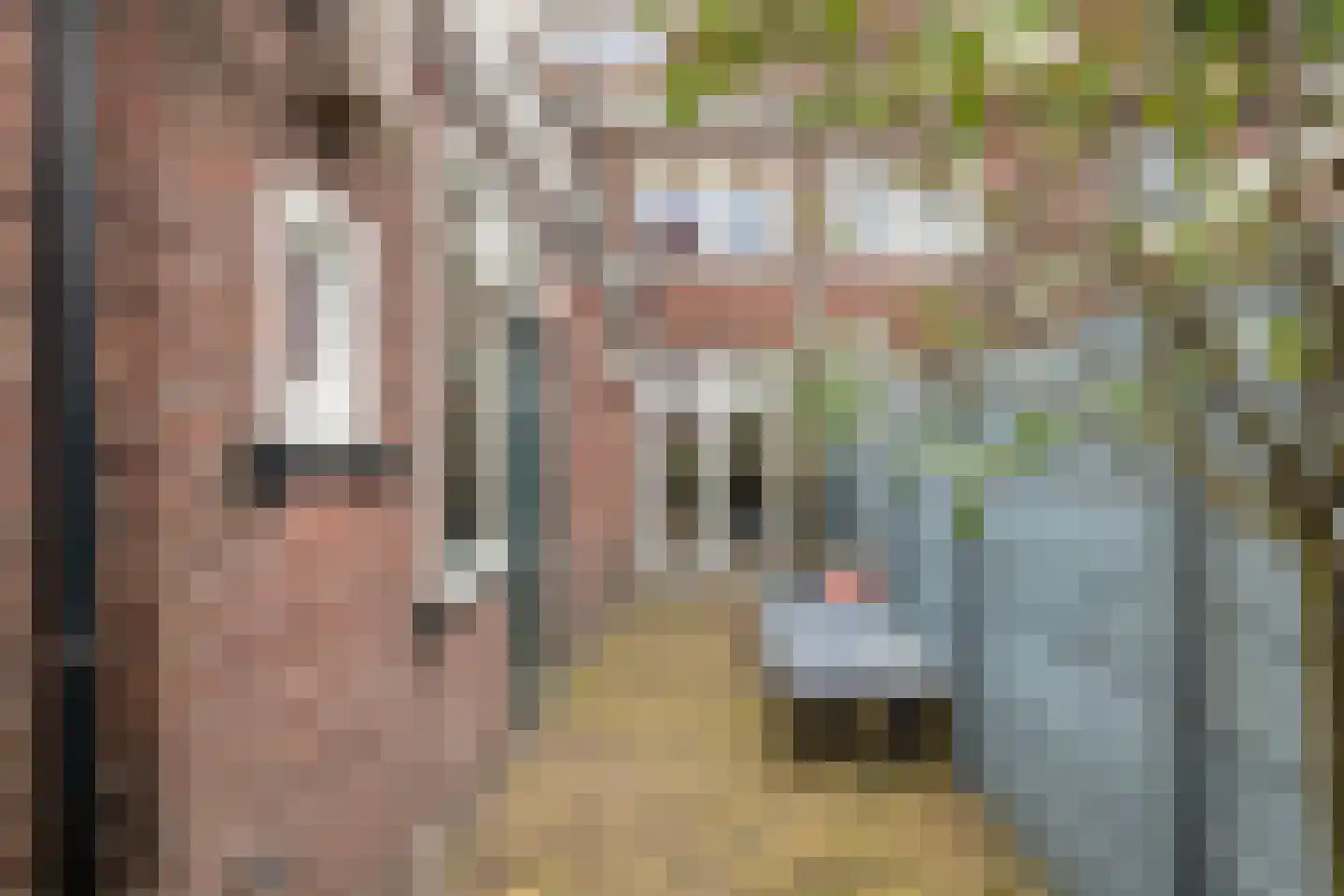 Theresiastraat 40 Tilburg thumbnail 62