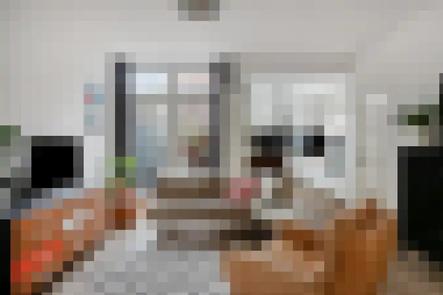 Theresiastraat 40 Tilburg thumbnail 9