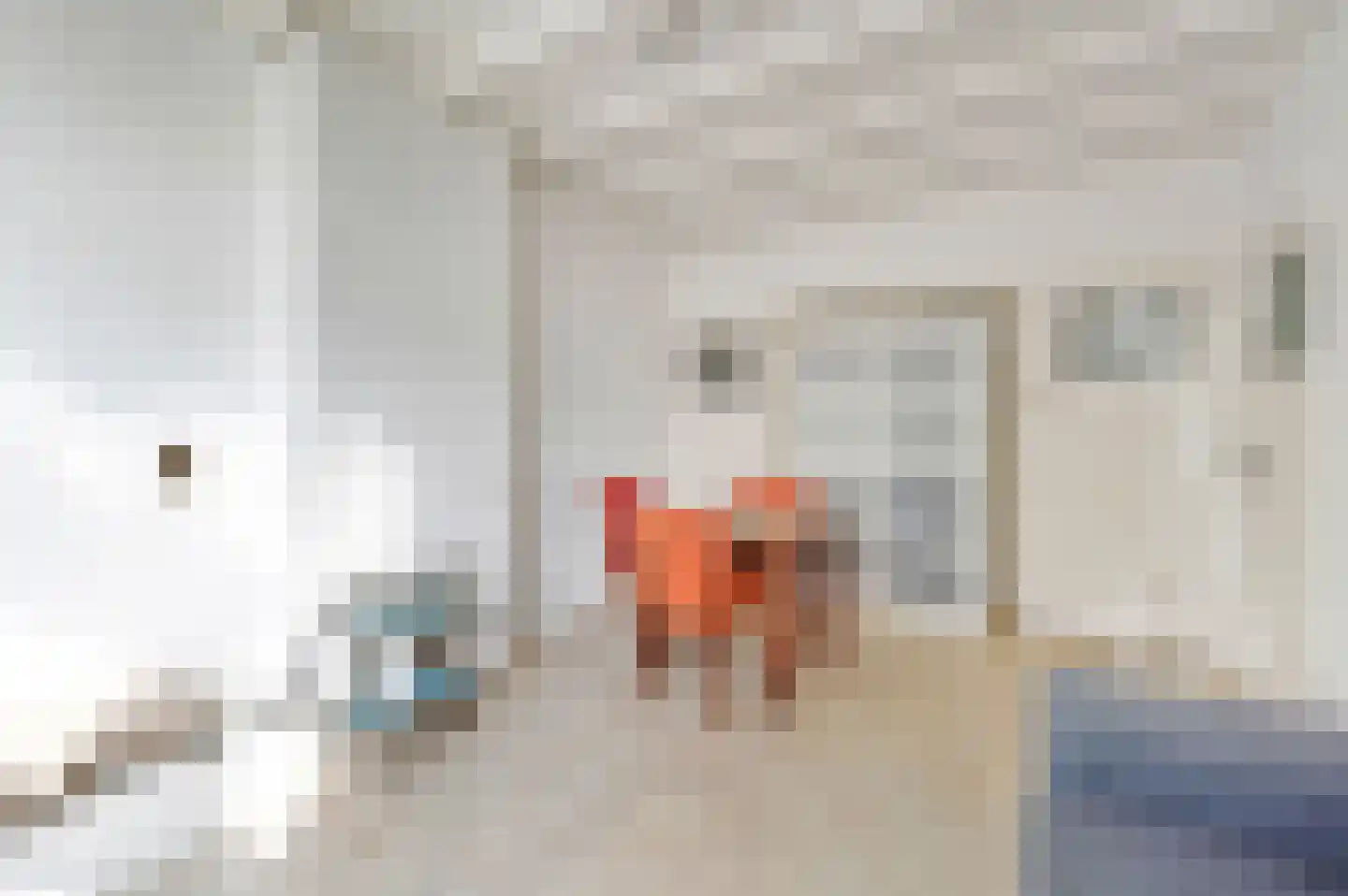 Theresiastraat 420 Den Haag thumbnail 11